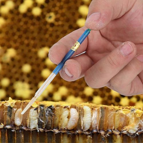Ensemble D'outils De Greffe De Larves D'abeilles En Plastique Pour L'élevage Des Reines Des Abeilles - 4pcs