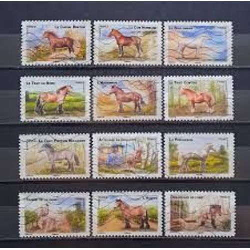 Faune : Chevaux De Trait De Nos Régions Série Complète Année 2013 Autoadhésifs N° 813 814 815 816 817 818 819 820 821 822 823 824 Yvert Et Tellier