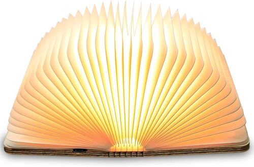 Lampe Livre Led Pliante Rgb, Lampes D'ambiance 2500mah Rechargeable Usb-C, Idéal Décoration De Nuit Maison Et Chambre, Cadeau D`Anniversaire(Blanc Chaud | 12 * 9 Cm) (22 Cm | Blanc Chaud)