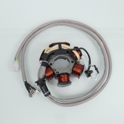 Stator D Allumage Rms Pour Scooter Piaggio 50 Zip Sp 1996-1998 830294 Neuf