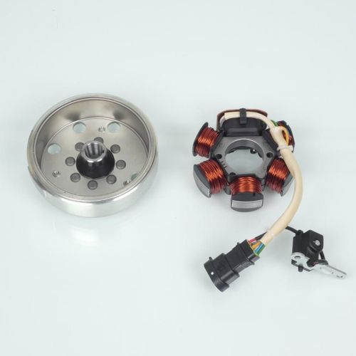 Stator Rotor D Allumage Rms Pour Scooter Piaggio 50 Zip 2008 À 2013 C25e0 Neuf
