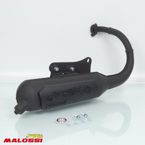 Pot D Échappement Malossi Pour Scooter Peugeot 50 Vivacity 2t 1999 Wild Lion / 3216584 Neuf