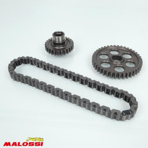 Pont Arrière De Transmission Malossi Pour Scooter Yamaha 500 Tmax 2001 À 2011 6714757 Power Transmission Mhr 26x40 Neuf