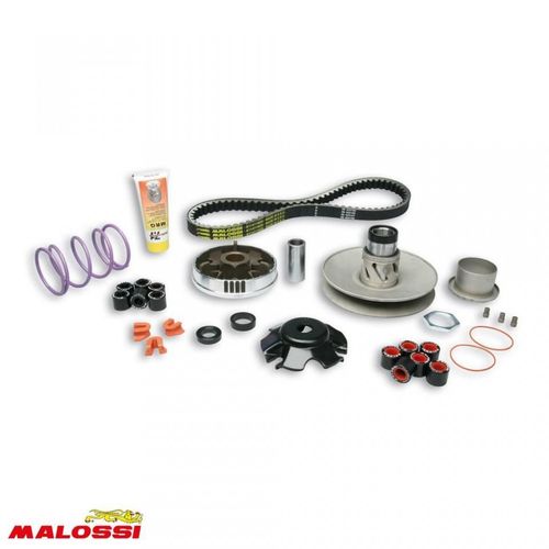 Variateur Malossi Pour Scooter Derbi 50 Gp1 2005 6114219 / Over Range Neuf