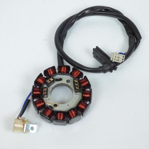 Stator D Allumage Tnt Pour Moto Peugeot 50 Xr6 Neuf