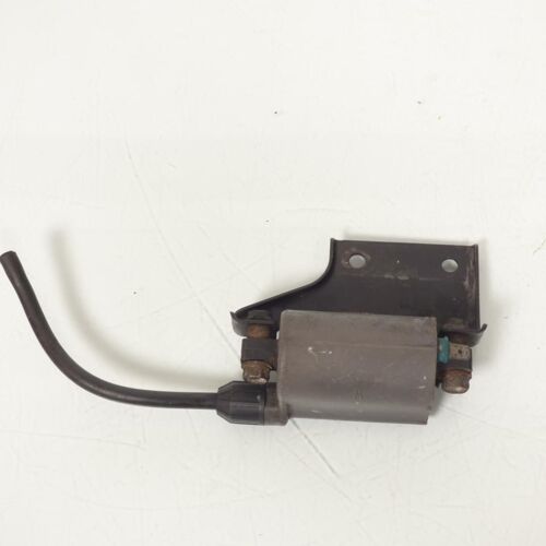 Bobine D'allumage Ht Origine Pour Moto Kawasaki 500 Kle 1991 À 2007 Kp03
