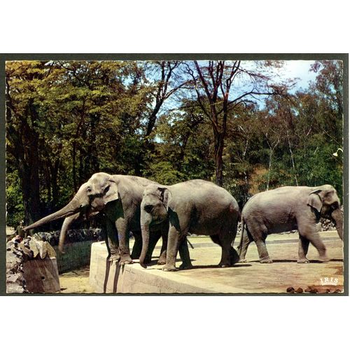 Carte Postale N° 2216, Lyon, Parc De La Tête D'Or, Les Quatre Éléphants