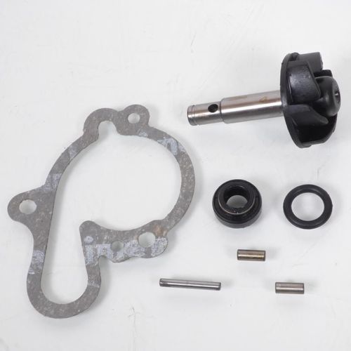 Pompe À Eau Sifam Pour Moto Peugeot 50 Xp6 Track 2002 À 2011 Neuf