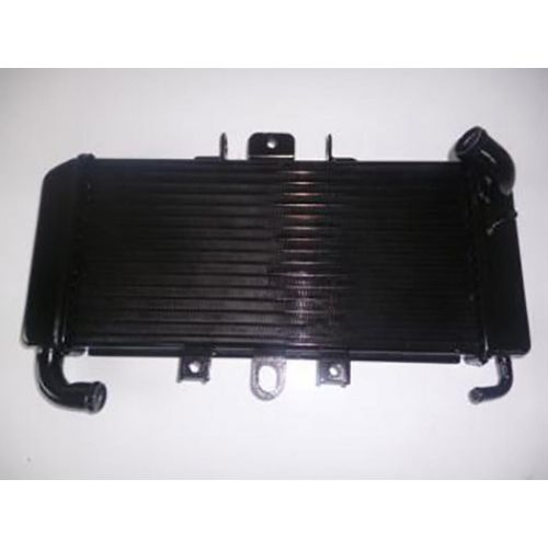 Radiateur De Refroidissement Pour Moto Yamaha 600 Fazer 1998 - 2003 Neuf