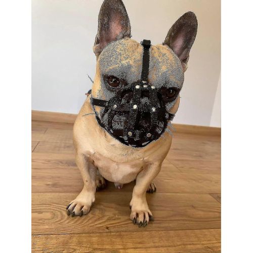 Muselière Pour Chien Pour Bouledogue Français Frenchies A Autres Museaux Similaires Museau Court (Fb1,Noir)