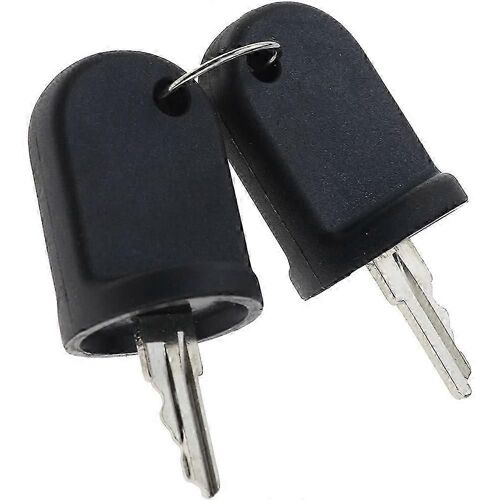 2pcs Clés De Commutateur D'allumage Compatibles Pour Rxv G & E 611282 605946 606993