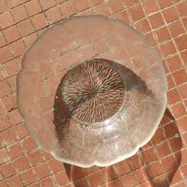 Bol À Dessert Acoroc Fleur Bowl