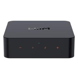 Lecteur réseau Wiim Pro Plus