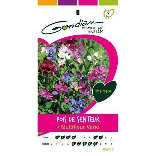 Gondian - Pois De Senteur Multifleur Varié