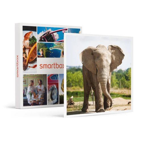 Journée D'exploration En Famille : 4 Entrées Pour Le Safari De Peaugres Près De Saint-Étienne - Smartbox - Coffret Cadeau Sport & Aventure