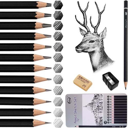 Crayon Dessin 12 Graphite avec Gomme et Taille-Crayon 14B 12B 10B 8B 6B 4B 2B B HB H 2H 4H Pour Débutants, Étudiants, Adultes, Designers