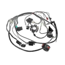 Moto Atv Pit Bike Go Kart Full Electrics Complet Câblage Faisceau Stator 6 Bobine Pour 50-125cc