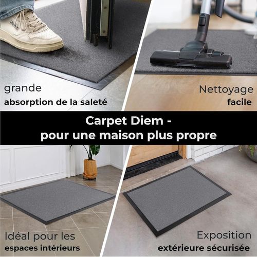 Few-Paillasson Interieur Entree 40x60 Cm En Marron I Tapis Entree Interieur Absorbant Pour Une Entrée Propre I Antidérapant & Entretien Simple I Fabriqué En Eu