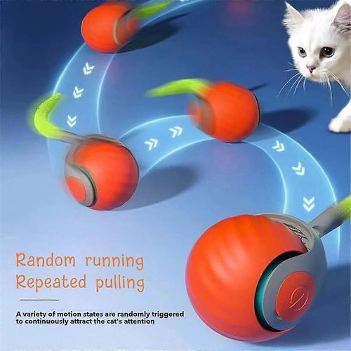 Jouet Pour Animaux De Compagnie Chat D'intérieur Jouet Interactif Pour Chat Jouet Pour Animaux De Compagnie Jouet Pour Animaux De Compagnie À La Maison Intelligente B
