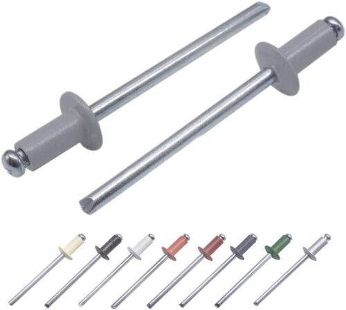 Lot de 100 rivets aveugles peints 4 x 8 mm Tête bombée DIN 7337 Rivet en aluminium et mandrin en acier Rivets pop (100,Gris fenêtre RAL 7040)