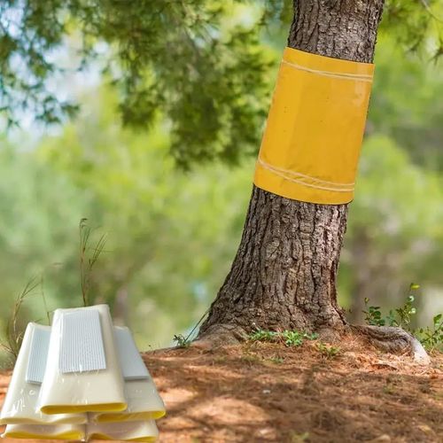 KALANKA-Pafnisoin Gel Anti Fourmis 25CM × 10M Glu Arboricole Bande Glue Arbre Fruitier Attrape Moucheron Efficace Contre Les chenilles, Fourmis et Autres Insectes nuisibles