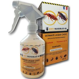 KALANKA-Anti Cafards puissant Professionnel, Anti Punaises de lit traitement, Insecticide Professionnel, Fourmis, Anti-Poissons d'argent