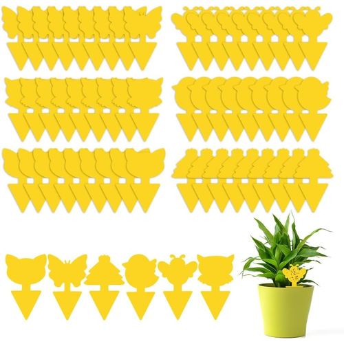 Pièges à Insectes, 60PC Attrape Moucheron Plantes, Plug-in Pièges à Insectes Pièges Engluées Autocollants Colle Double sans Insecticide, Anti Moucheron Plante pour Plante Fleur Fruits