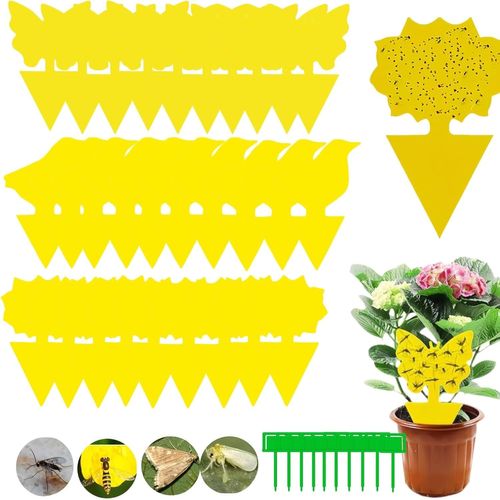 Anti Moucherons Interieur,30 Pieces Pièges à Insectes,Pièges Engluées Autocollants Colle Double-Face,Attrape Moucheron Plantes,Attrape Mouche Interieur Jaunes,Anti Moucherons Plantes Terreau