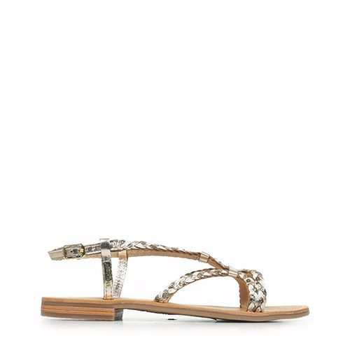 Les Tropéziennes By M Belarbi Homarie