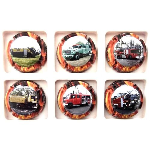 Serie De 6 Capsules De Champagne - Pascal Manchin Du 13 Au 18