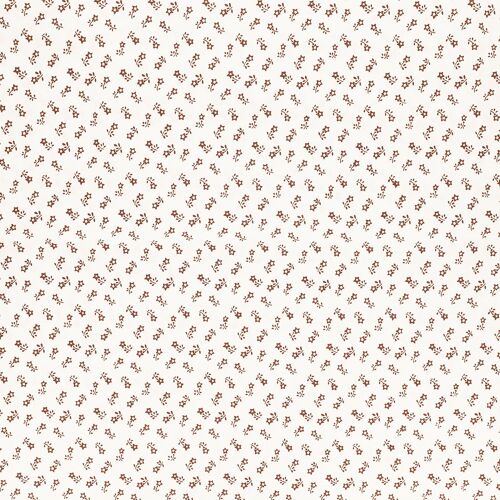 Coton Starlette 112 Gsm 1m