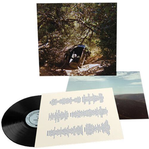 Ty Segall - Possession [Vinyl Lp]