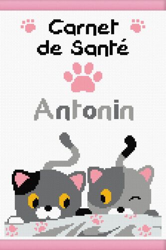 Carnet De Sante Au Pays Des Merveilles 16x24