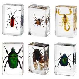 Lot De 27 Insectes Sous Résine - Collection D'insectes Multicolores Pour Décoration