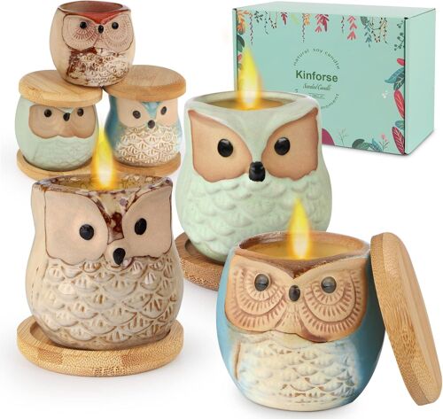 Bougies Parfumées en Forme de Chouette-Lot Cadeau Femme de 6 Pièces-Idée Cadeau Anniversaire e-Parfums Naturels & Longue Durée 180h (bougie citronelle)