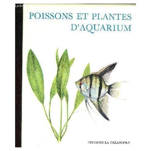 Poissons Et Plantes D Aquarium.