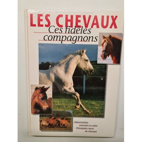 Les Chevaux Des Fidèles Compagnons