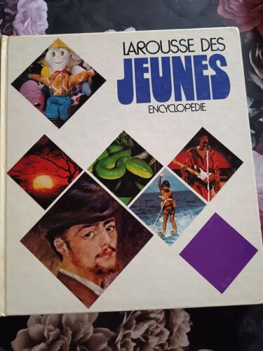 Larousse Des Jeunes (Encyclopédie)