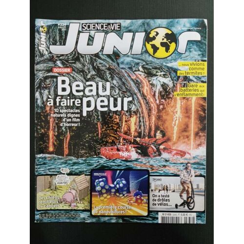 Revue Science & Vie Junior N° 334 S