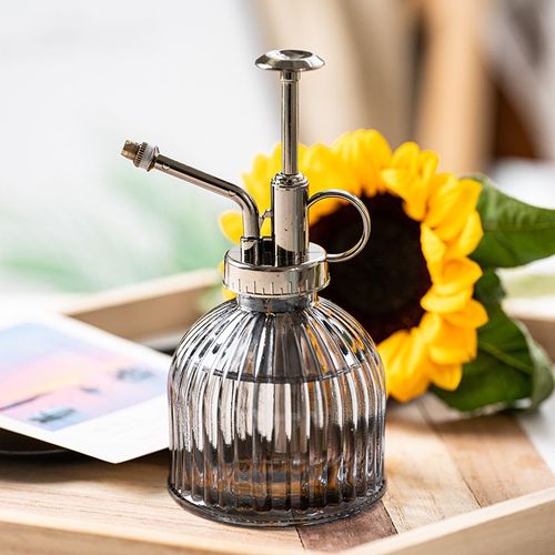 Arrosoir de 16 cm de haut, style vintage, avec pompe supérieure en plastique bronze, arrosoir en verre à une main pour plantes d'intérieur et terrarium (gris foncé)
