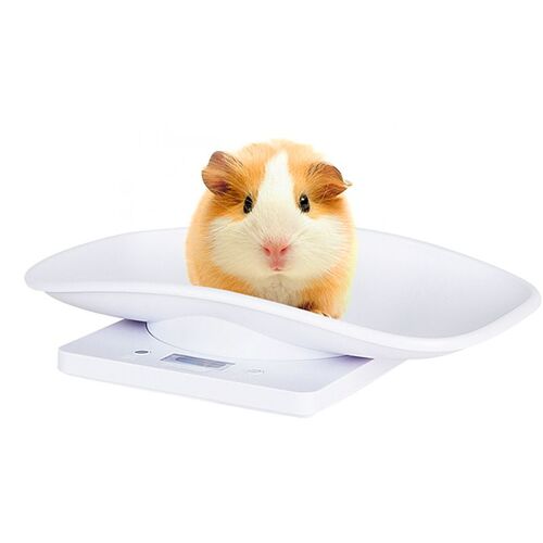 Balance Électronique Pour Animaux De Compagnie, Petite Balance Numérique, Écran Lcd 10 Kg/1 G, Outil De Mesure De Précision Pour La Cuisine, Chatons, Chiots, Tortues, Hamsters