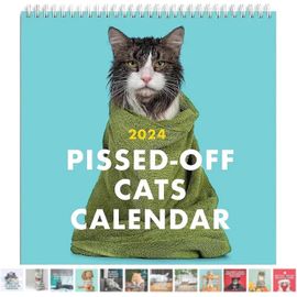 Chats Énervés Calendrier Calendrier Mural Calendrier Familial Suspendu Mensuel Calendrier Créatif Drôle Chat Chat Calendrier Suspendu Décoration De Bureau Cadeau