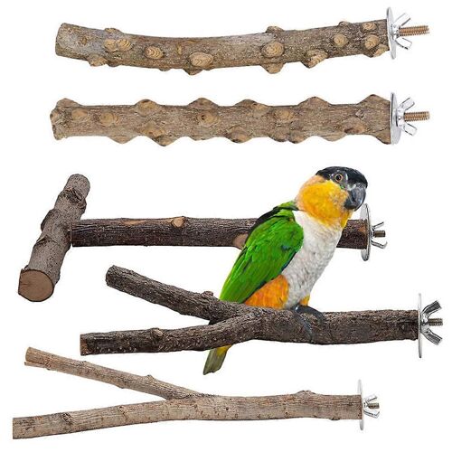5pcs Bois Naturel Perroquet Stand Oiseau Perchoir Plate-Forme Exercice En Bois Escalade Patte Broyage Jouet Birdcage Accessoires