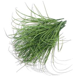 12pcs Simulation Plantes Gazon Artificiel Feuilles Plantes Décor Bureau À Domicile Accessoires De Décor