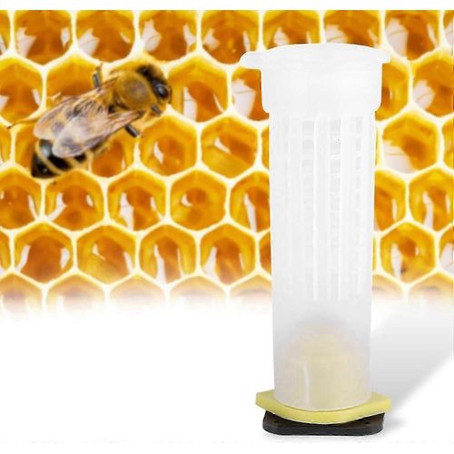 10 X Cages À Rouleaux En Plastique,Kit De Tasse D'élevage De La Reine Des Abeilles Cages Équipement D'outil D'apiculture (10 X Cages À Rouleaux)