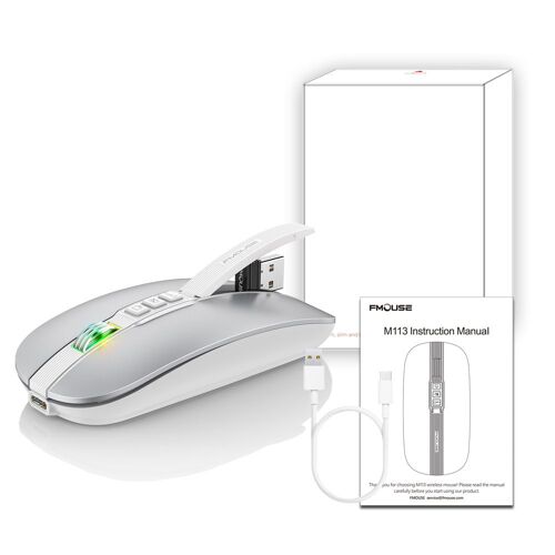 Souris sans fil silencieuse Bluetooth 10 M double mode 2,4 GHz/BT5.1 (argent)