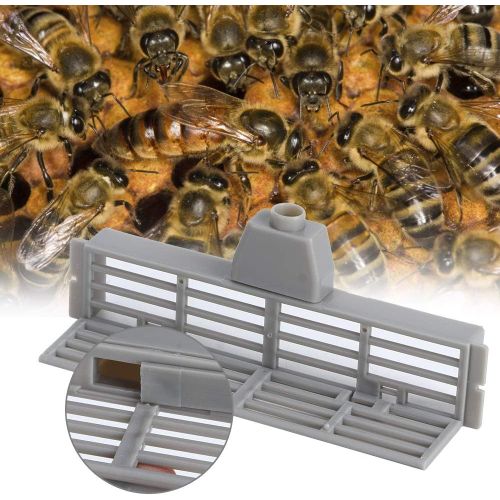 ¿12cm¿10pcs-Portable Multifonction Abeille Anti-Évasion De L'outil, L'apiculture Outil, 10pcs Compact Et Léger Matériel De L'apiculteur Pour L'apiculture Abeille Anti-Évasion Outil De
