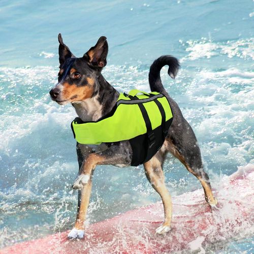 Portable Chien Gilet De Sauvetage Chien Gilet De Natation Animaux Gilet De Sauvetage Avec Bande Réfléchissante Pour Chien De Moyenne M