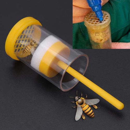 Abeille De La Reine Marque De Détecteur De L'apiculture Bouteille Reine Des Abeilles Marqueur De Marquage De La Cage De Bouteille Doux Piston De S'attaquer À L'apiculture Apiculteur Outil