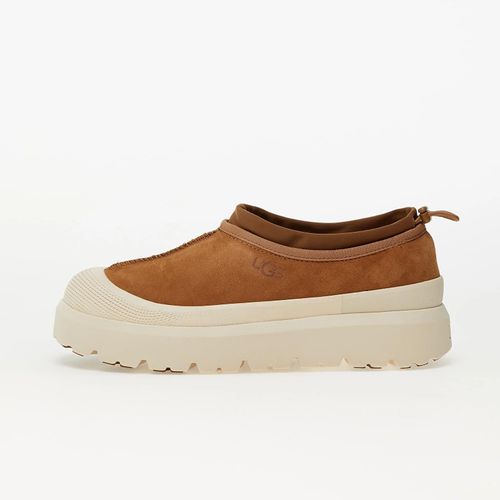 Baskets Ugg M Tasman Weather Hybrid Chestnut/ Whitecap Eur